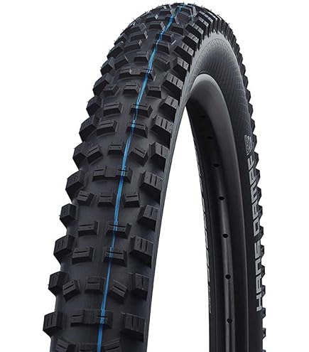 シュワルベ　ハンスダンプ　29×2.35 Amazon.com : Schwalbe - Hans Dampf All Terrian and All MTB