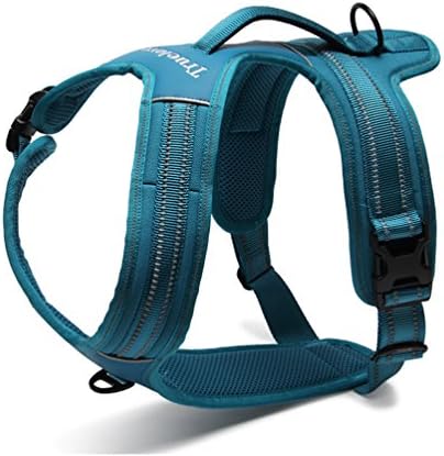 Dog Harness Front Range No Pull Dog Car Harness Security Heavy Duty Mesh 3M Reflective Dog Vest Small,Chest girth19-22.5inch,blue