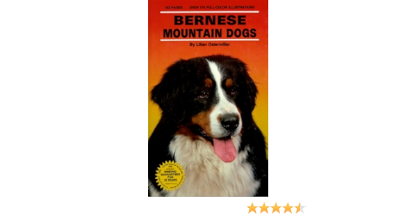 lilian ostermiller bernese mountain dog