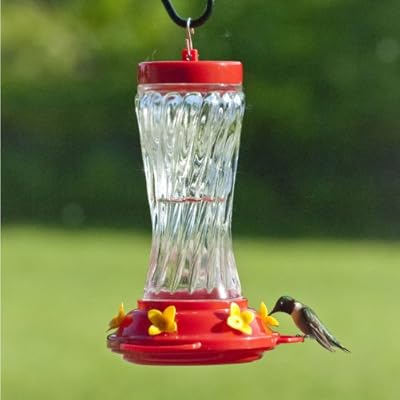 Amazon Com Audubon Swirl Glass Hummingbird Feeder 16 Oz Model