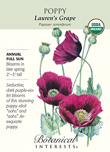 Organic Lauren's Grape Poppy Seeds - 150 milligrams - Botanical Interests Organic Lauren's Grape Poppy Seeds - 150 milligrams - Botanical Interests