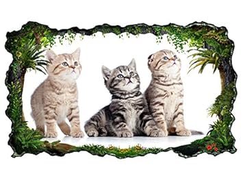 3d Wandtattoo Katze Baby Kätzchen Tier Katzen Bild