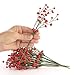 Factory Direct Craft Pack of 10 Christmas Red Berry Picks for Holiday Decorating and Home Decor - Weather Resistant Berries Indoors or Outdoors (Size: 8-1/2