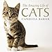 The Amazing Life of Cats by Candida Baker