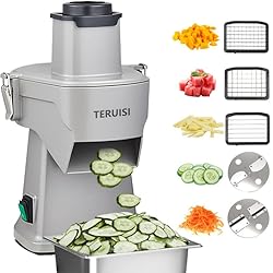 TERUISI 4-In-1 Electric Vegetable Chopper, 200W