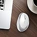 Wireless Vertical Mouse, Jelly Comb SMALL Wireless Mouse 2.4G High Precision Ergonomic Optical Mice with Adjustable Sensitivity 800/1200/1600 DPI, 6 Buttons, 【 For Small Hands 】 (White + Silver)