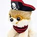 Gund Itty Bitty Boo #032 Pirate Plush, 5