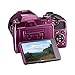 Nikon COOLPIX B500 16MP 40x Optical Zoom Digital Camera w/Wi-Fi (Plum) - (Renewed)