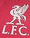 Fifth Sun Young Men’s Official Liverpool FC Bird Logo Men's Tee Shirt, red//Premium Heather, Large