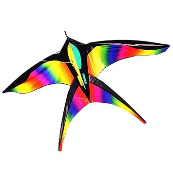 Amazon Co Jp 虹鳥の凧の単一ラインそよ風の屋外飛行の楽しみの