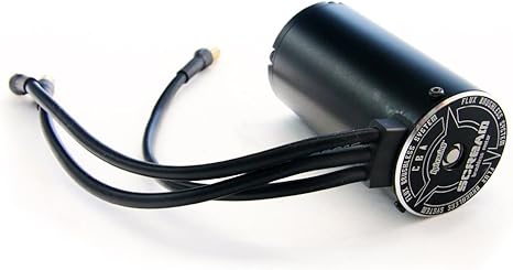 hpi trophy buggy flux brushless