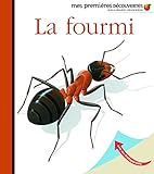 La fourmi by 