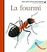 La fourmi by 
