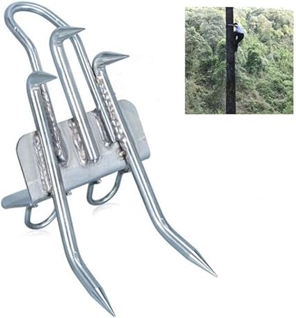 best tree climbing shoes