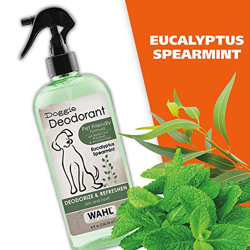 Wahl Deodorizing & Refreshing Pet Deodorant for Dogs Eucalyptus