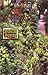 Marijuana Outdoors : Guerilla Growing