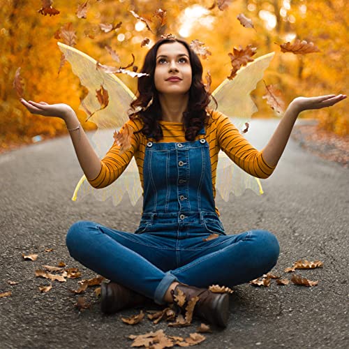 Large Gold Fairy Wings