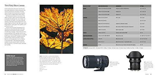 Mastering Macro Photography - Thumbnail 4