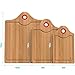 Vremi 3-Piece Bamboo Cutting Board Set - Small and Large Organic Wood Cutting Boards for Meat - Heavy Duty Wooden Board Tools with Silicone Storage Handle for Commercial and Kitchen Sink Use - Red