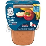 Gerber 3rd Foods Apple Banana with Lil' Bits, 5 Ounce Tubs, 2 Count (Pack of 6)