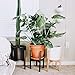 Mid Century Plant Stand – Non-Wobbly – Modern Indoor Plant Holder for House Plants, Home Decor – Wood – Fits Planter 8 to 12 Inches – Excludes Plant Pot (Dark Brown 2-Pack)thumb 2