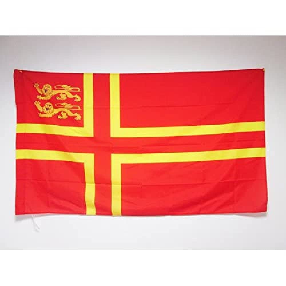 AZ FLAG - Normandy Saint Olaf Cross 2 lions Flag - 2x3 Ft - Normandy Province Banner with Sleeve - 100% Polyester - Fade Resistant - Vivid Colors - 2' x 3' Feet - 90x60 Cm