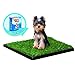 Four Paws Wee-Wee Premium Patch Indoor and Outdoor Pet Potty for Dogs l Dog Potty Training l Artificial Grass l Wee-Wee Patch