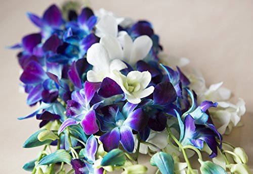 Starry Night in the Tropics: Bouquet of 5 Blue Dendrobium Orchids & 5 White Dendrobium Orchids from Thailand with Free Vase Included - Thumbnail 4