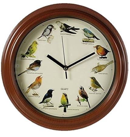 Out of the blue 79/3151 Kunststoff-Wanduhr mit Vogelstimmen, Vogelwelt, Durchmesser 33 cm, für 1 Mignon Batterie AA