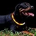 fashionandcool Led Dog Collar, USB Rechargeable, Glowing Pet Dog Collar Light for Night Walking Safety, Water Resistant Flashing Light Up Dog Necklace for Small, Medium, Large Dogs, Orange