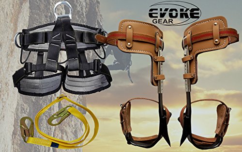 Top 10 Tree Climbing Spikes And Gear Of 2019 No Place Called Home