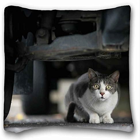 Custom Cotton & Polyester Soft Animal Custom Zippered Pillow Case 16x16 inches(one sides) from Surprise you suitable for Full-bed