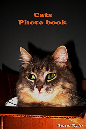 Cats Photo Book VoL.3: animal picture books, photo book