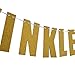Tinksky TWINKLE TWINKLE LITTLE STAR Banner Baby Shower Birthday Party Decoration (Gold)