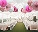 Pink Hanging Paper Party Decorations, Round Paper Fans Set Paper Pom Poms Flowers for Valentine's Day Birthday Wedding Baby Shower Events Accessories