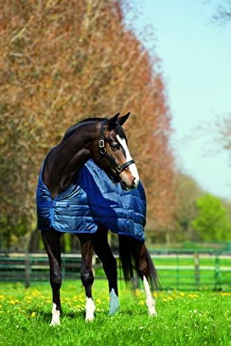 Blanket Liner 200g 78