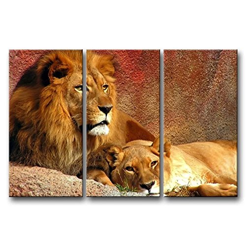 Powerful, Captivating and Majestic Lion Wall Art Animal Wall Decor