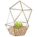 HOMEIDEAS Glod Geometric Terrarium Modern Clear Glass Pyramid Tabletop Box Succulent Plants Holder 4.3 x 4.3 x 8.3 Inches(Black) (Golden)
