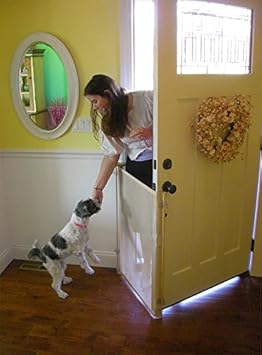 baby malamute puppies