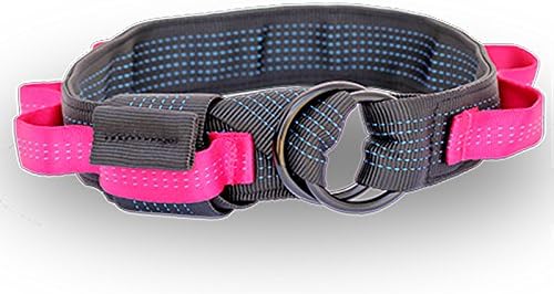 Indoor Bound, Wonder Belt (Pop Your Cherry), Nylon Doggie Style Sex Restraint (1 Belt) …