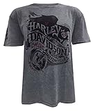 Harley-Davidson Men's End of the Road Short Sleeve Washed T-Shirt 5J31-HB7J (L)