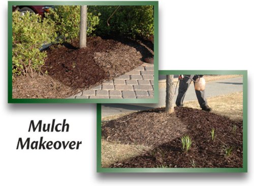 EnviroColor CB0032 851612002032 2,400 Sq. Ft. Cocoa Brown Mulch Color Concentrate, 2400 Square Feet