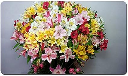 Amazon カラフルアルストロメリア 花束 花 パターンカスタムの マウスパッド 植物 花 デスクマット 大 60cmx35cm Bingbongbu マウスパッド 通販 Amazon カラフルアルストロメリア 花束 花 パターンカスタムの マウスパッド 植物 花 デスクマット 大 60cmx35cm Bingbongbu マウスパッド 通販