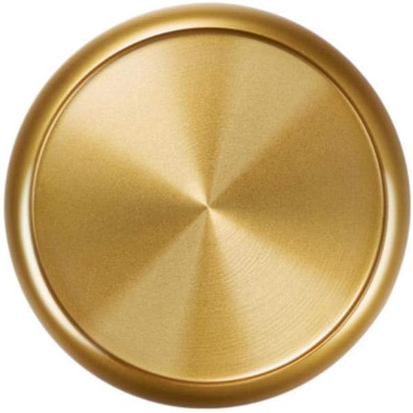 LASISZ Disc Notebook Binding Rings Discbound Discs 1 Pcs Metal Discbound Discs Ring For Mushroom Hole Planner Accessories,Gold,38mm 1.5 Inch
