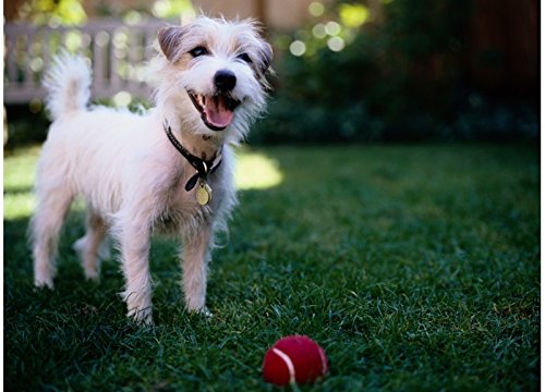 iDeal Fabrics Dog Kennel Cover (8x8) - Thumbnail 3