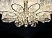 LEDVAS Modern Luxury Living Room Ceiling Lamp Fixture Crystal Chandelier Lighting (80CM(31.5 IN))