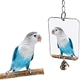 Bird Mirror Bird Swing, Parrot Cage Toys,Swing Hanging Play with Mirror for Macaw African Greys Parakeet Cockatoo Cockatiel Conure Lovebirds Canaries by Old Tjikko,1 PC (4.72’’*3.14’’/12 * 8 cm)