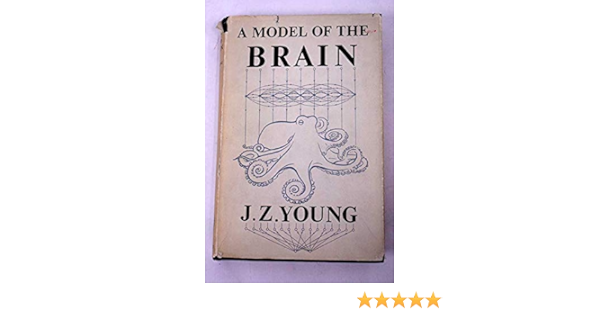 Model Of The Brain J Z Young Amazon Com Books