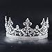 SSNUOY Adjustable Full Round Imperial Medieval Tiara Fleur De Lis King Crown Silver Finish