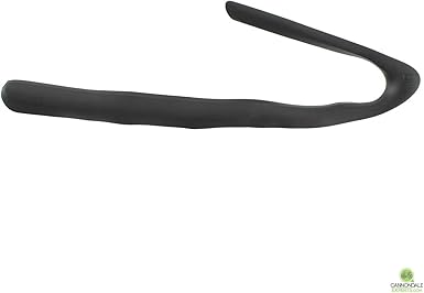 carbon chainstay protector